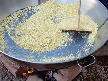 Produção de Farinha de Mandioca e Polvilho Orgânico