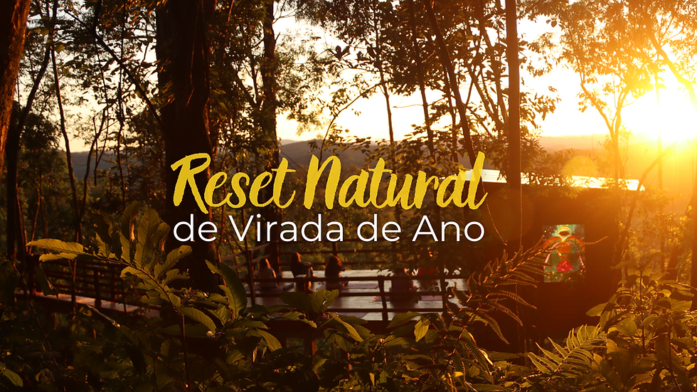 Reset de Virada de Ano na AMARTE