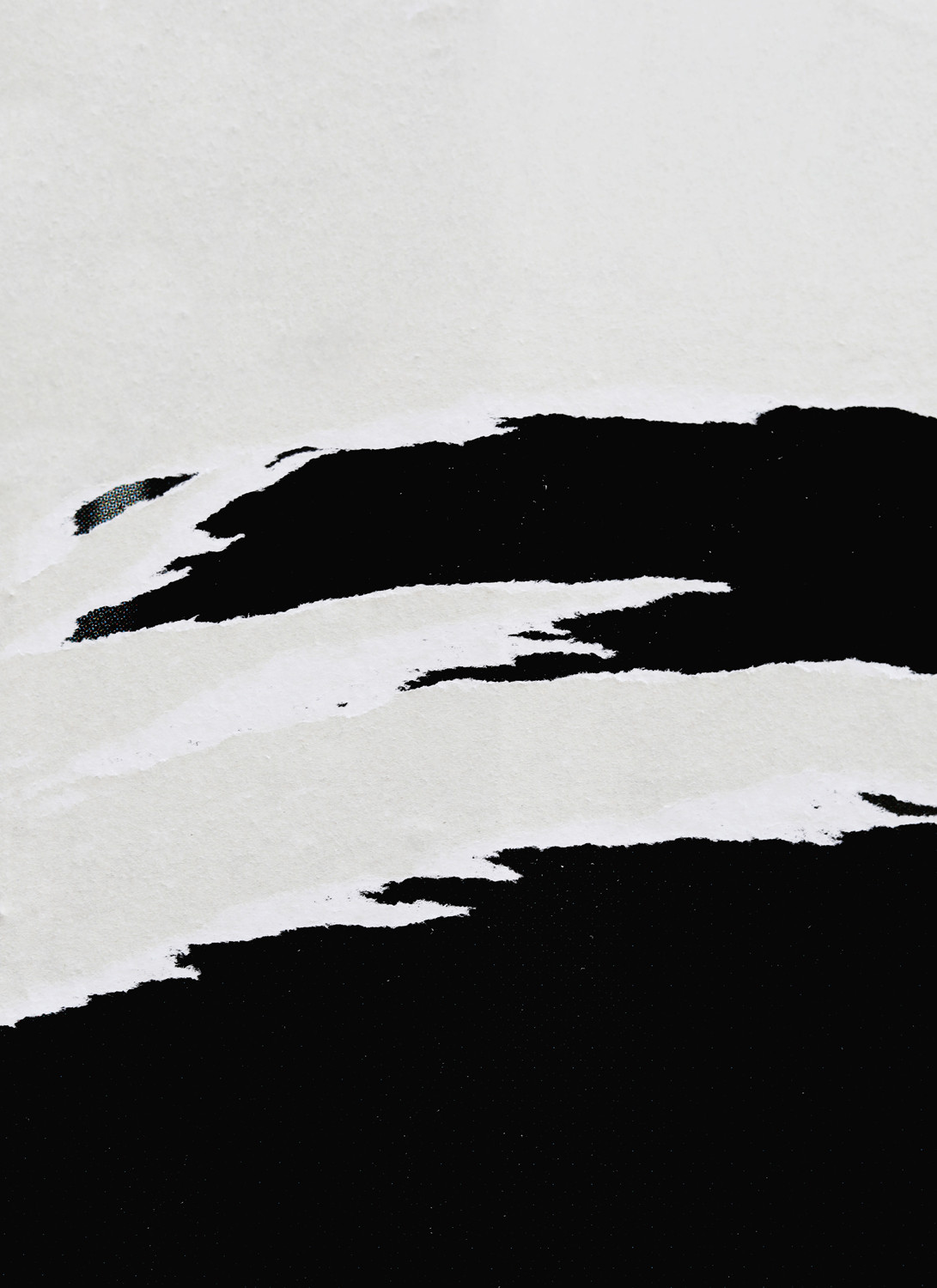 abstract 028