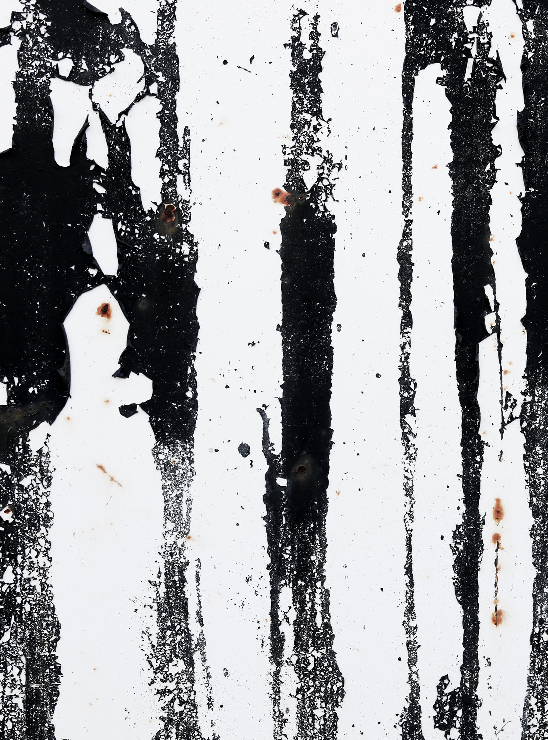 abstract 031