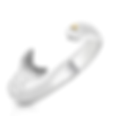 Premium Cape Cod Fish Cuff Bracelet