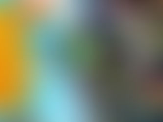 catch wisdom, not the virus