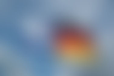 MNG: German Government's fight for Justice is missing a key component.