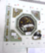 Wild Rose - LS - Original
