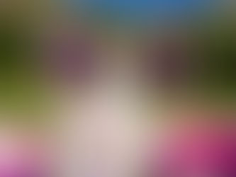 The Five Hottest Wedding Trends for 2018, part 2