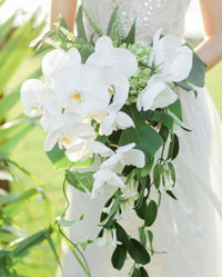 A modern, cascading Phalaenopsis Bouquet