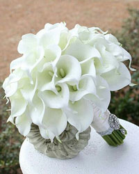 Hand-tied Calla Lily Bouquet