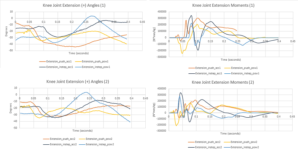 Knee Joint Extension Angles/Moments