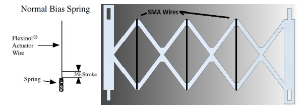 First object design rattionale