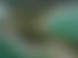 Litoral de SP já supera metade das mortes por afogamento de 2025 em apenas 60 dias de 2026