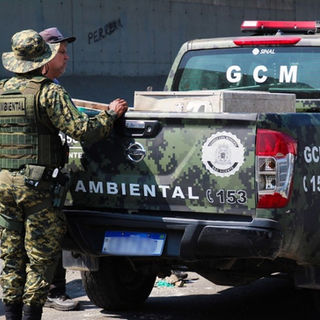 Rottweiler é encontrado morto com sinais de enforcamento no litoral de SP.