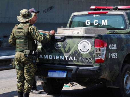 Rottweiler é encontrado morto com sinais de enforcamento no litoral de SP.
