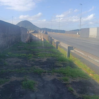 Mulher é encontrada morta com sinais de violência em canteiro da rodovia dos Imigrantes.