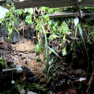 Cidades do litoral e interior de SP estão em estado de atenção para risco de deslizamentos.