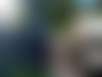 Motorista morre e quatro ficam feridos após carro invadir contramão na rodovia Rio-Santos, SP