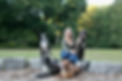 BADBACFE-3FC0-45D3-9463-F622791E54DD_1_201_a.jpeg