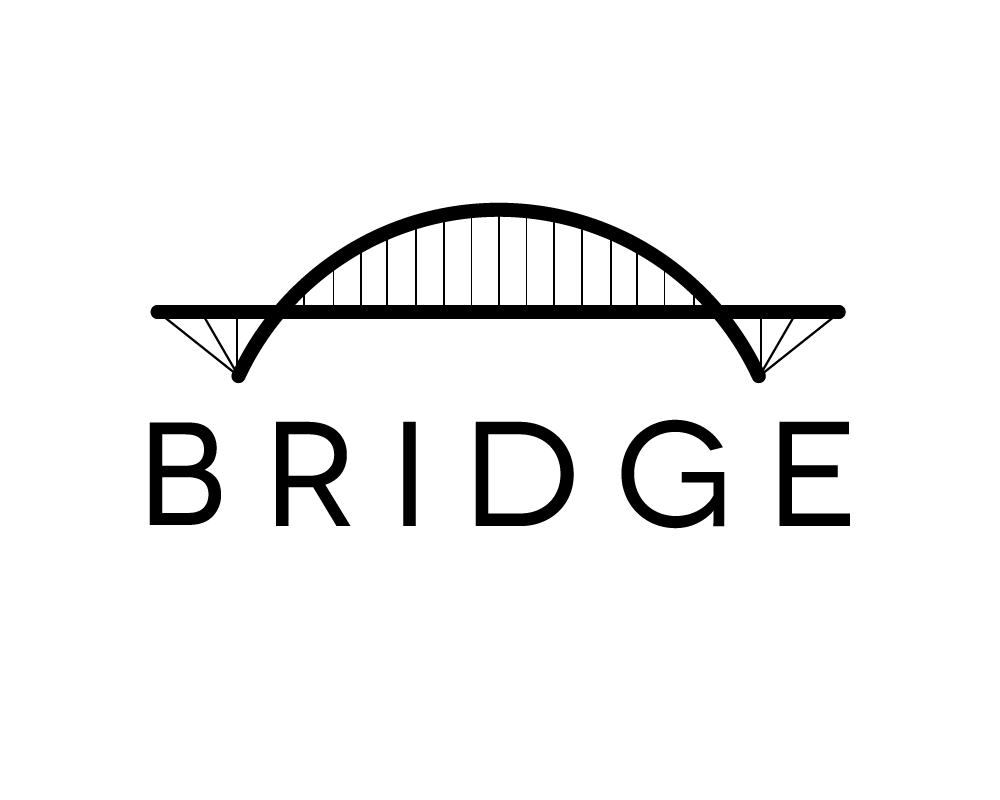 bridge_software.gif