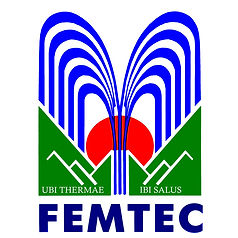 Femtec_Logo (1).jpg