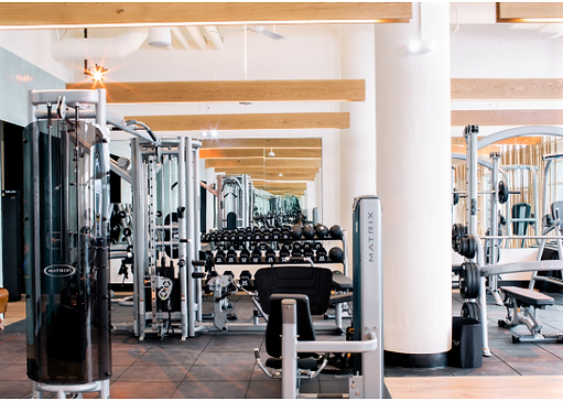Commercial Health Club in So Cal features strength equipment from Matrix Fitness