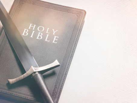 Bear's Story (from an eight year old)