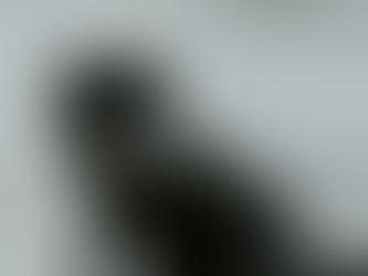 Best West Side Vets for Dogs in Vancouver WA – Real Recommendations You Can Trust