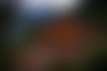 Discovering the Ideal Cabin for Large Party Gatherings in Clark County and Beyond