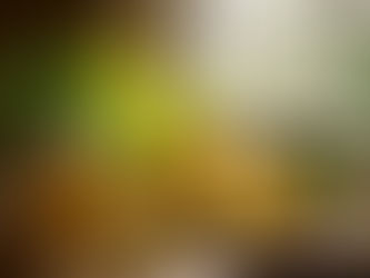 NAD+: The Unsung Hero of Cellular Energy (And Why You Should Care)