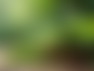 The AI Chi Connection: Exploring the Fusion of Ancient Wisdom and Modern Technology in Healing