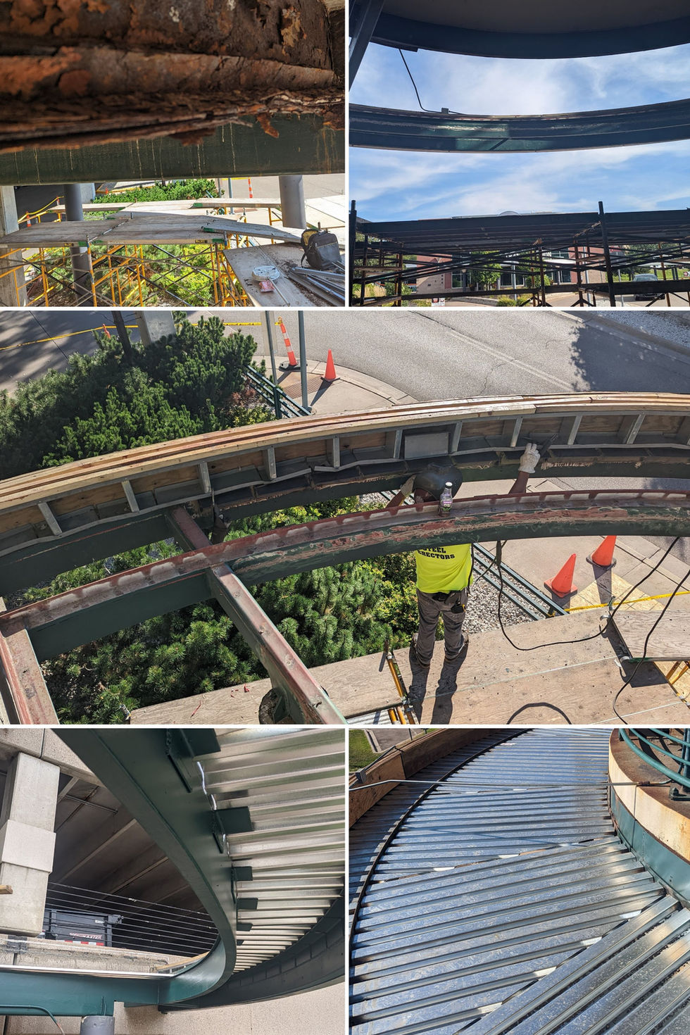 PXL_20240904_153542709-COLLAGE.jpg