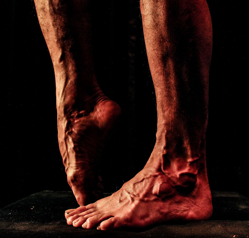 TEATRIDANZA (6).jpg