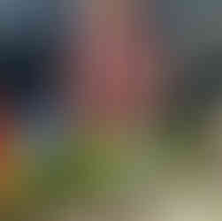 Mother, toddler, & father at the local clinic.