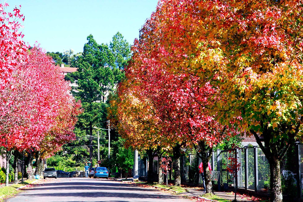 Outono em Gramado - Rio Grande do Sul - Brasil