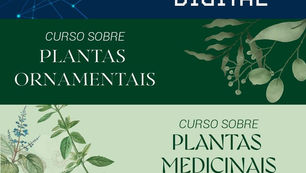 CURSOS GRATUÍTOS em Gramado