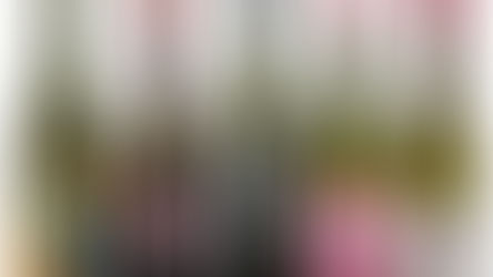 Canela recebe feira de vinhos naturais