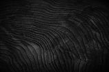 close-up-of-redwood-burl-wood-grain-texture-1_edited.jpg