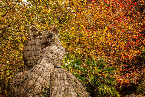 Garden Park Gramado Outono 23 (21).jpg