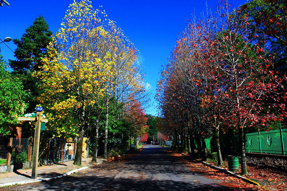 Gramado - Rio Grande do Sul - Brasil
