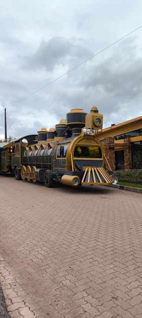 Tour Rural Olivas de Gramado