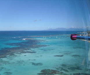 SDC10370_edited.jpg