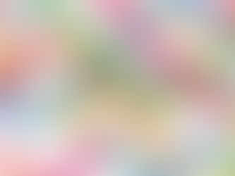 展示会出展情報!! SOCALO TOKYO