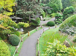 Golden Gate Park
