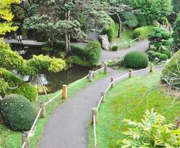 Golden Gate Park