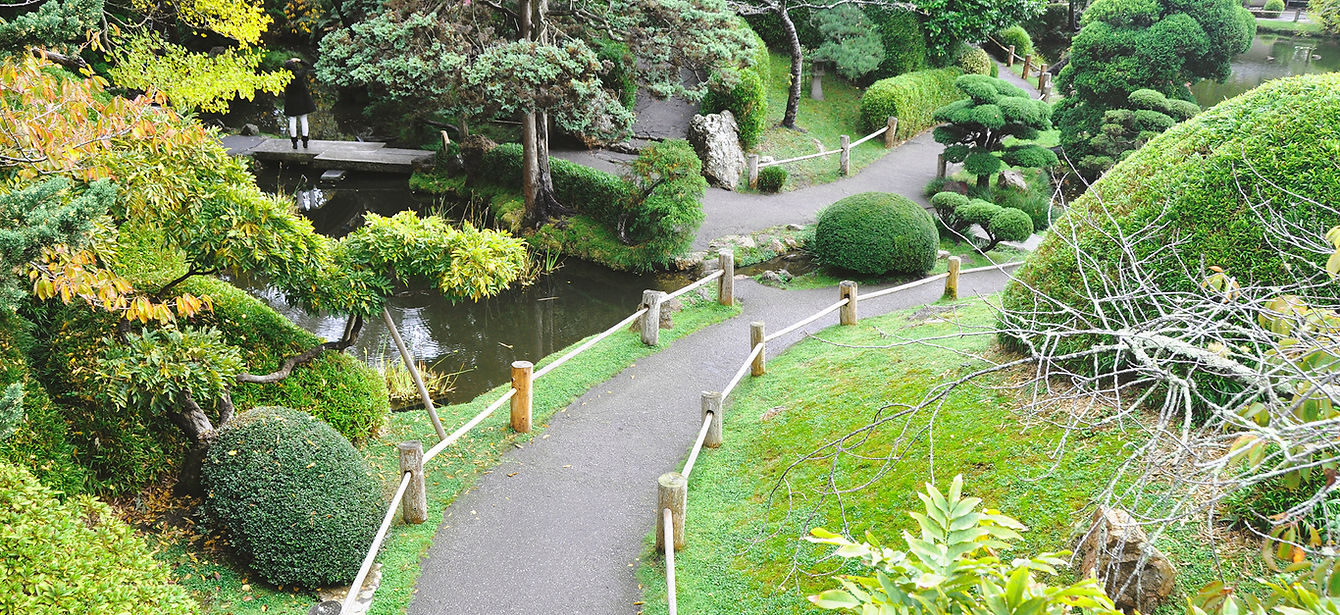 Golden Gate Park