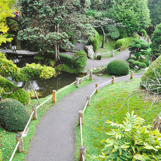 Golden Gate Park
