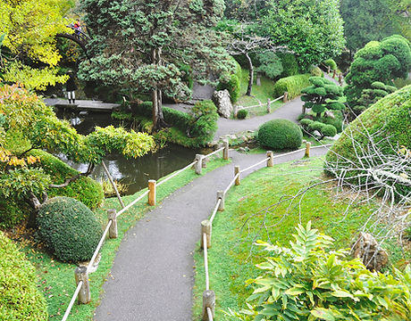 Golden Gate Park