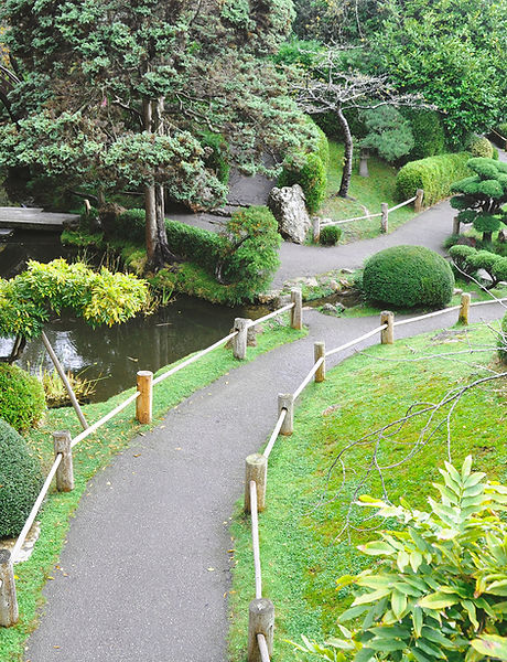 Golden Gate Park