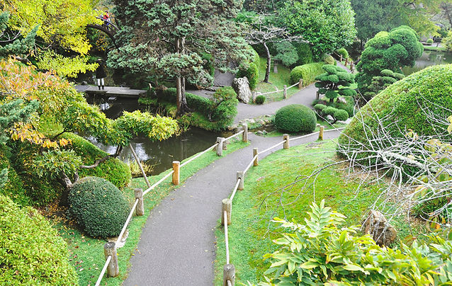 Pathway in the Park