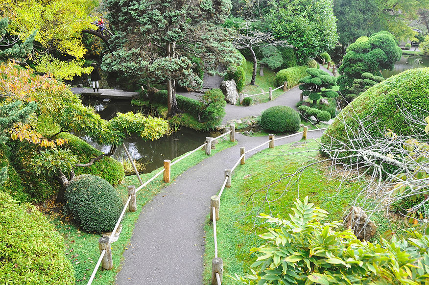 Golden Gate Park