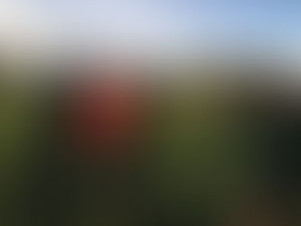 Match Report: 2nd Team Show Big Improvement Against Stirling 1s