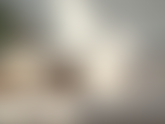 Limpieza de Tapicería: Cuida Tu Sofá